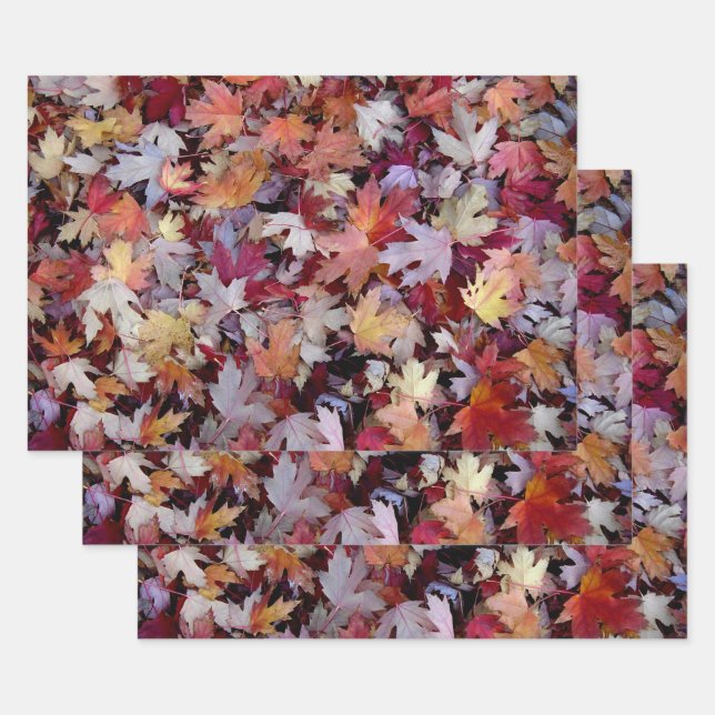 Rustic Fallen Arbre d'automne Feuille Motif (Lot)