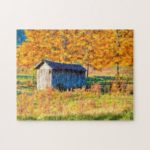 Rustic Shed - Automne Foliage Puzzle