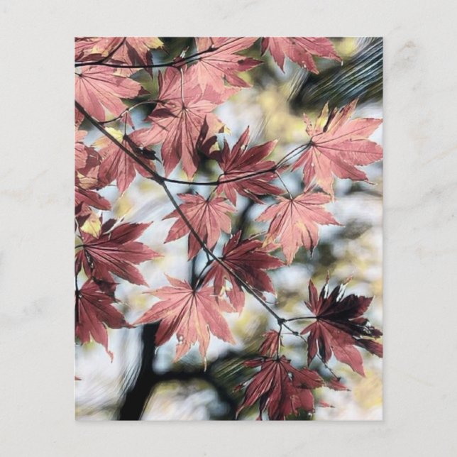 Rustique feuille d'érable rouillé rouge brun rose (Devant)