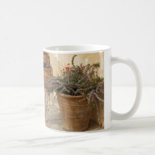 Rustique méditerranéen Cactus Plante Pots Mug