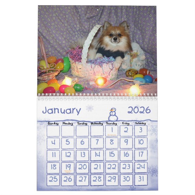 Ryder le calendrier pom (Jan 2026)