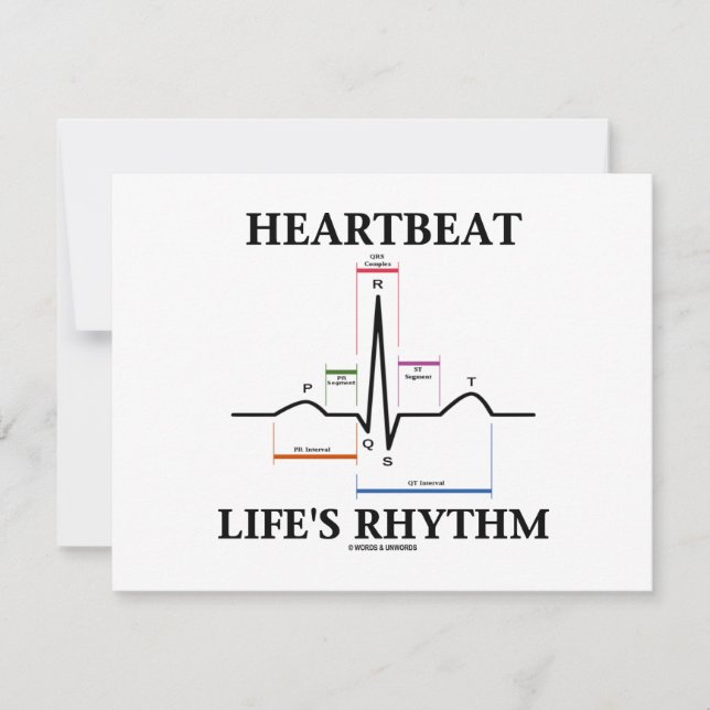Rythme de la vie Heartbeat (ECG/EKG Heartbeat) (Devant)