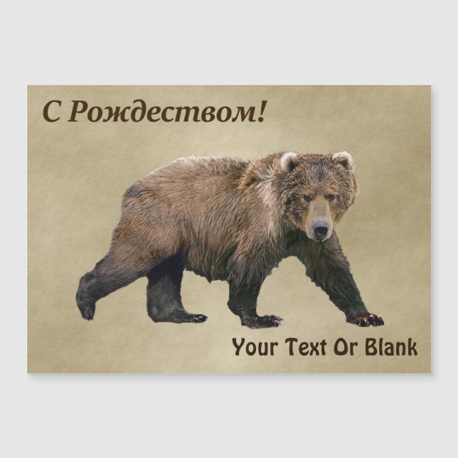 S Rozhdestvom - Ours de Kodiak (Devant)