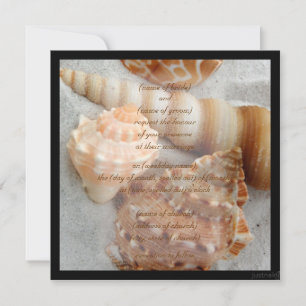 sable blanc de coquillage ii Invitation