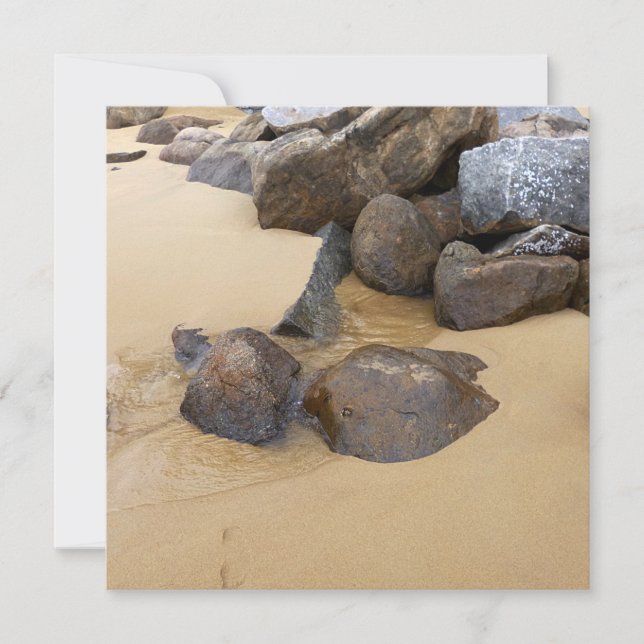 Sable et pierres (Devant)