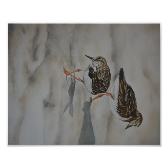 Sable Pipers Oiseau Art Reproduction Photo Imprime (Devant)