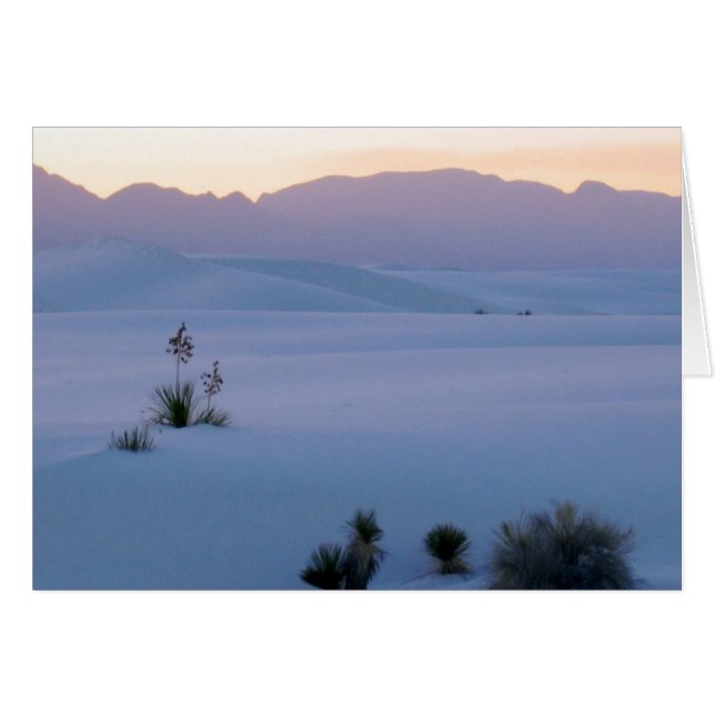 Sables blancs (Devant horizontal)