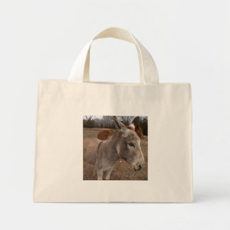 Sac à âne
