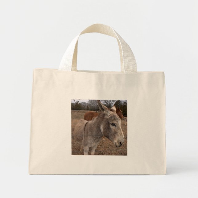 Sac à âne (Devant)