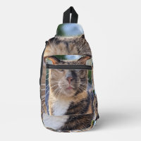 Ajouter une photo de chat Personnaliser