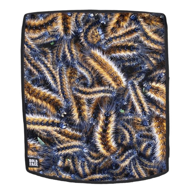 Sac à dos (Devant amovible)