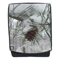 Branche des pins neigeux Photographie de la nature