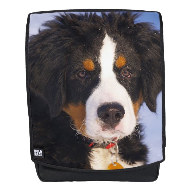 Sac À Dos Chien de montagne bernois (Devant)