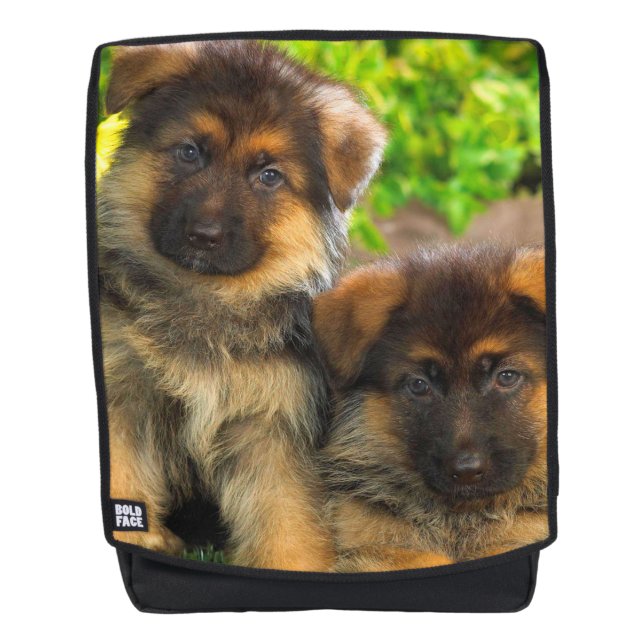 Sac À Dos Chiots Berger Allemand (Devant)