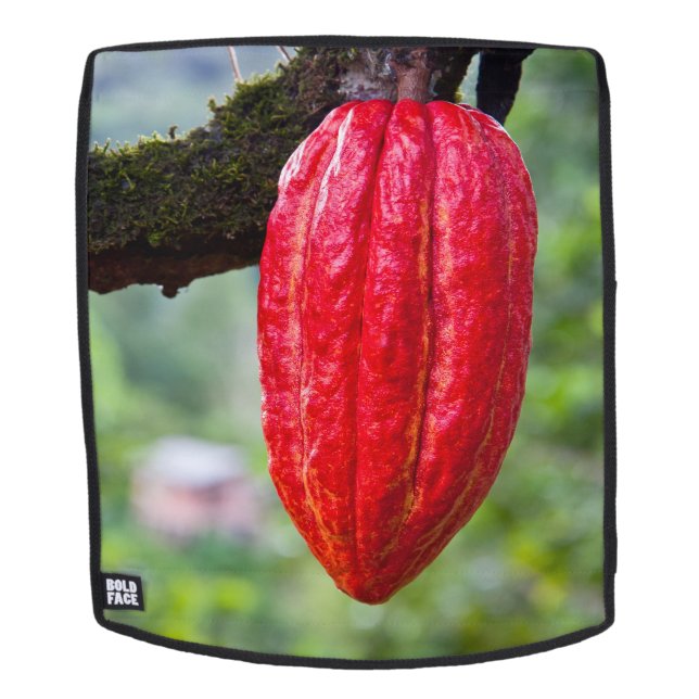 Sac À Dos cocod (Devant amovible)