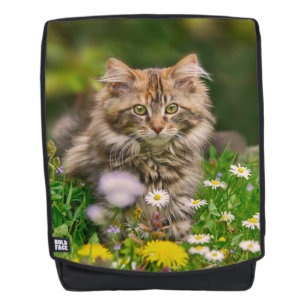 Sac À Dos Cute Fluffy Maine Coon Kitten Chat en Fleurs Photo