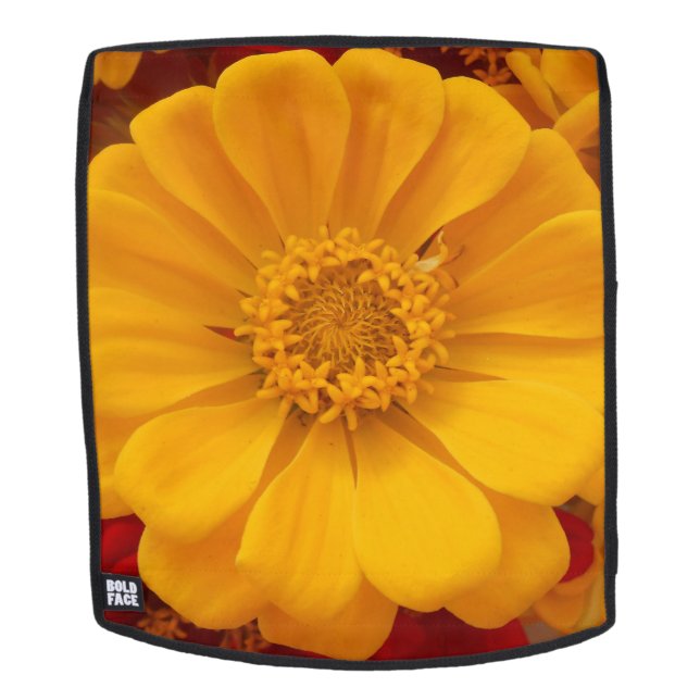 Sac À Dos Emmeline (Devant amovible)