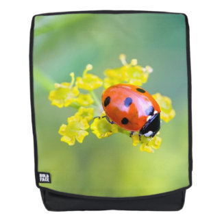 Sac À Dos femme au sommet