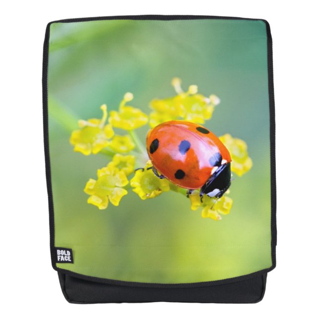 Sac À Dos femme au sommet (Devant)