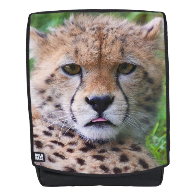 Sac À Dos Guépard (Devant)