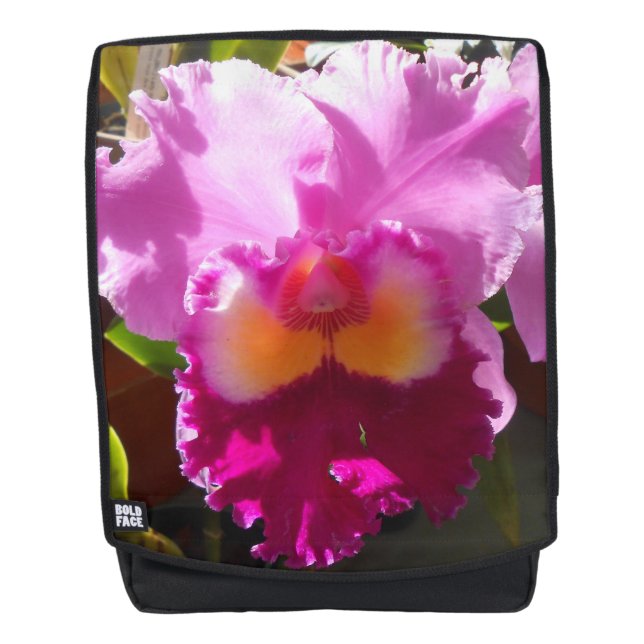 Sac À Dos Harlinde (Devant)