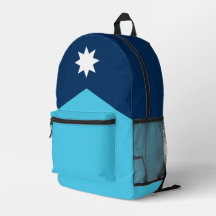 Drapeau de l'État du Minnesota