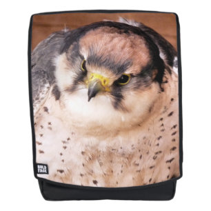 SAC À DOS LANNER FALCON