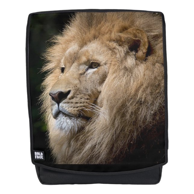 Sac À Dos Lion (Devant)