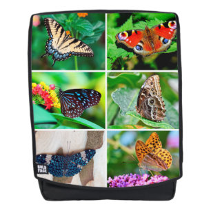 Sac À Dos Papillons Collage Peacock Blue Tiger Buckeye