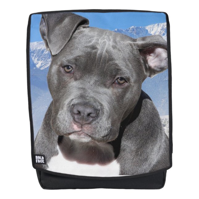 Sac À Dos Pit Bull (Devant)