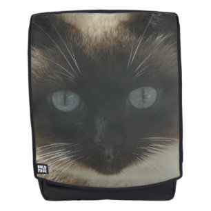 Sac à dos pour adultes Siamese avec les yeux bleu