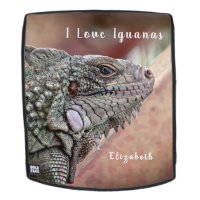 Reptile exotique