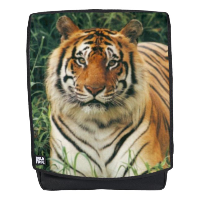 Sac À Dos Tigre du Bengale (Devant)