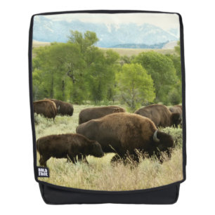 Sac À Dos Wyoming Bison Nature Animal Photographie