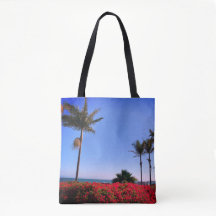 Sac à main de la plage de Santa Barbara