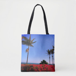 Sac à main de la plage de Santa Barbara