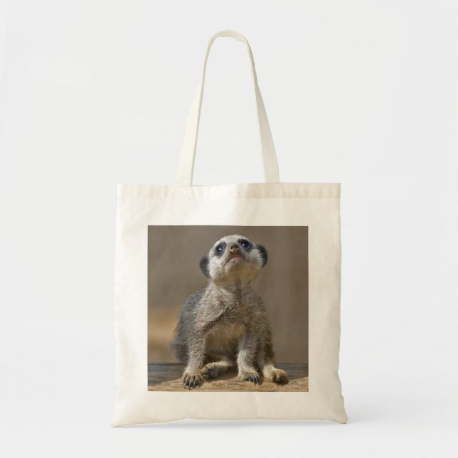 Sac À Main Kute Kat (Devant)