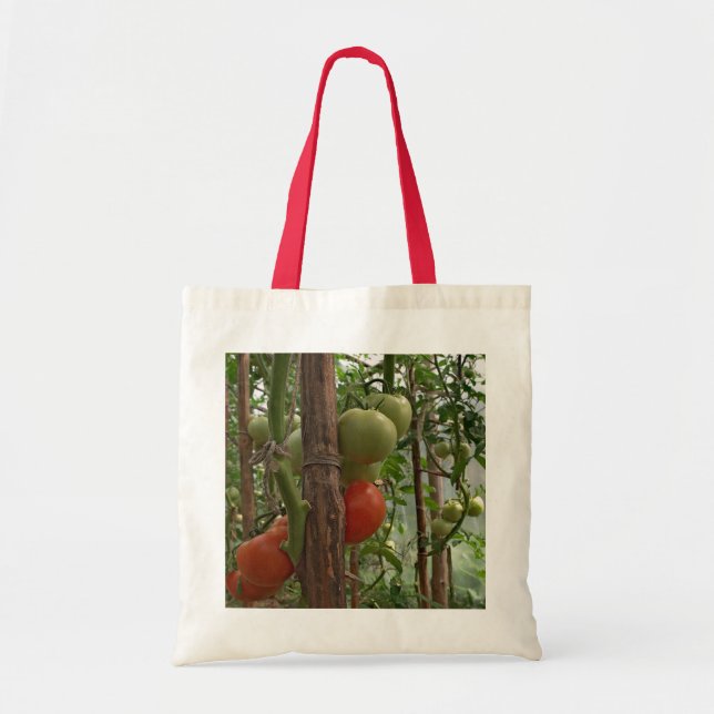 Sac à tomates (Devant)