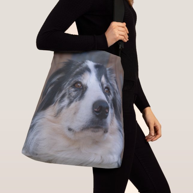 Sac Ajustable Australian Shepherd Mix Gros plan (De près)