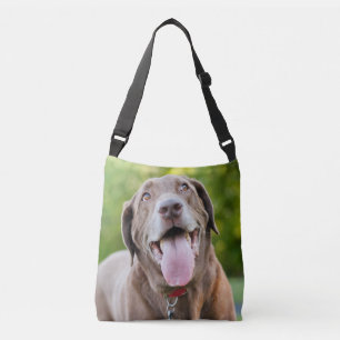 Sac Ajustable Chocolat Lab Chien