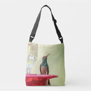 Sac Ajustable Colibri à ventre cassé au Texas