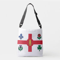 Drapeau de Montréal (Québec)