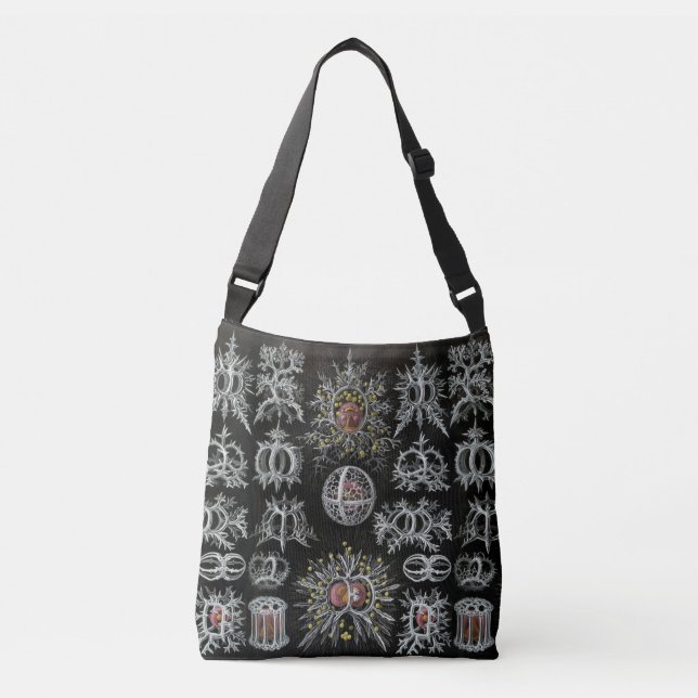 Sac Ajustable Haeckel Négatif (Devant)