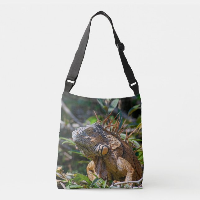 Sac Ajustable Iguane brun et orange dans la nature (Devant)