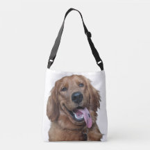 Joli Golden Retriever | Photographie de chien orig