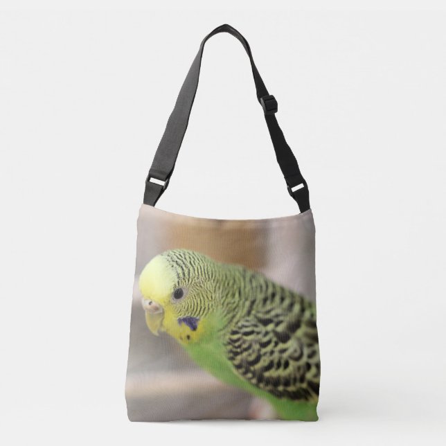 Sac Ajustable Kiwi (Devant)