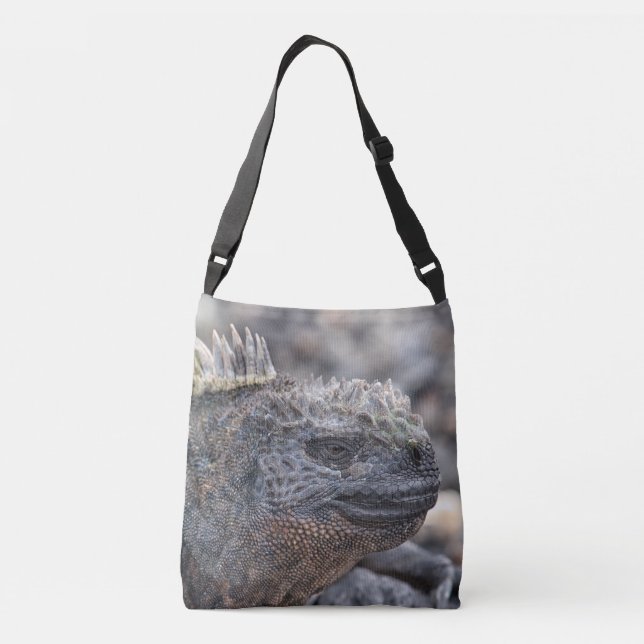 Sac Ajustable Marine Iguana (Dos)