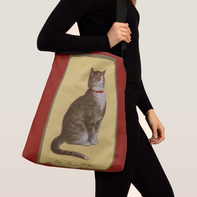 Sac Ajustable Peake, le chat tabby de Chessie (De près)