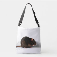 Rat cbbcna