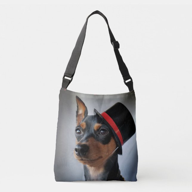 Sac Ajustable Riche MIn Pin (Devant)
